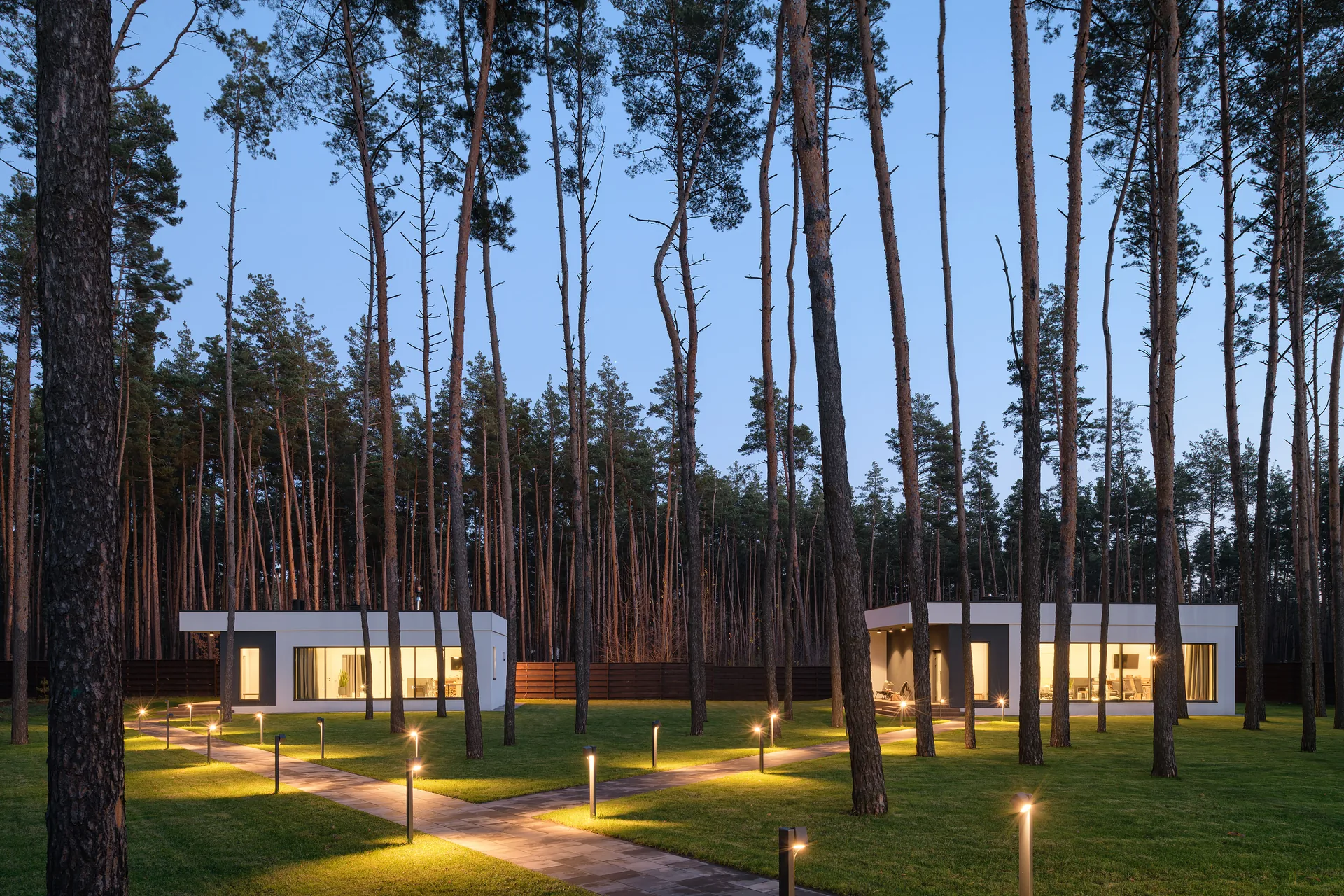Illuminated Scandi Club cabins in the evening forest