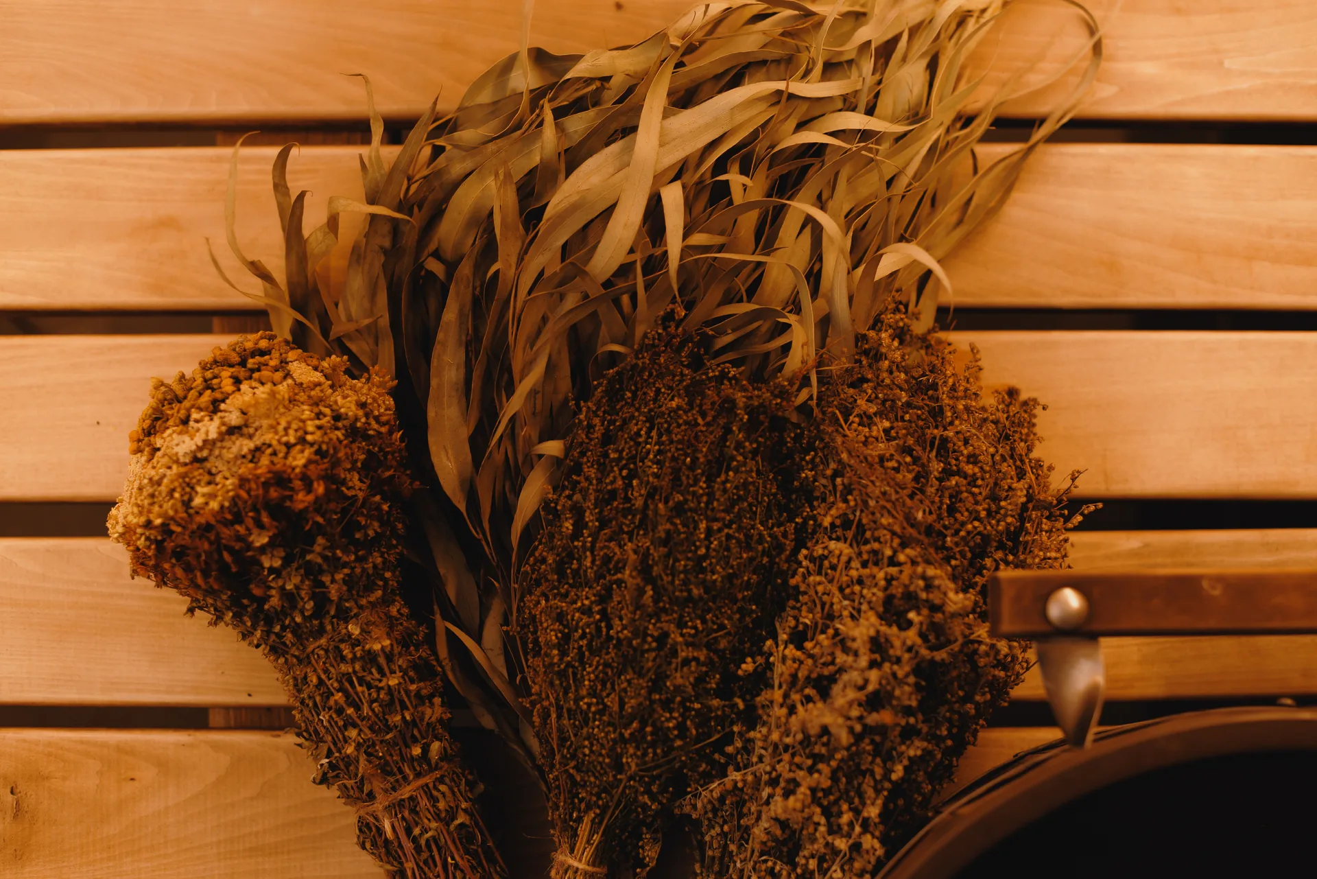 Bunches of aromatic herbs in the Scandi Club steam room